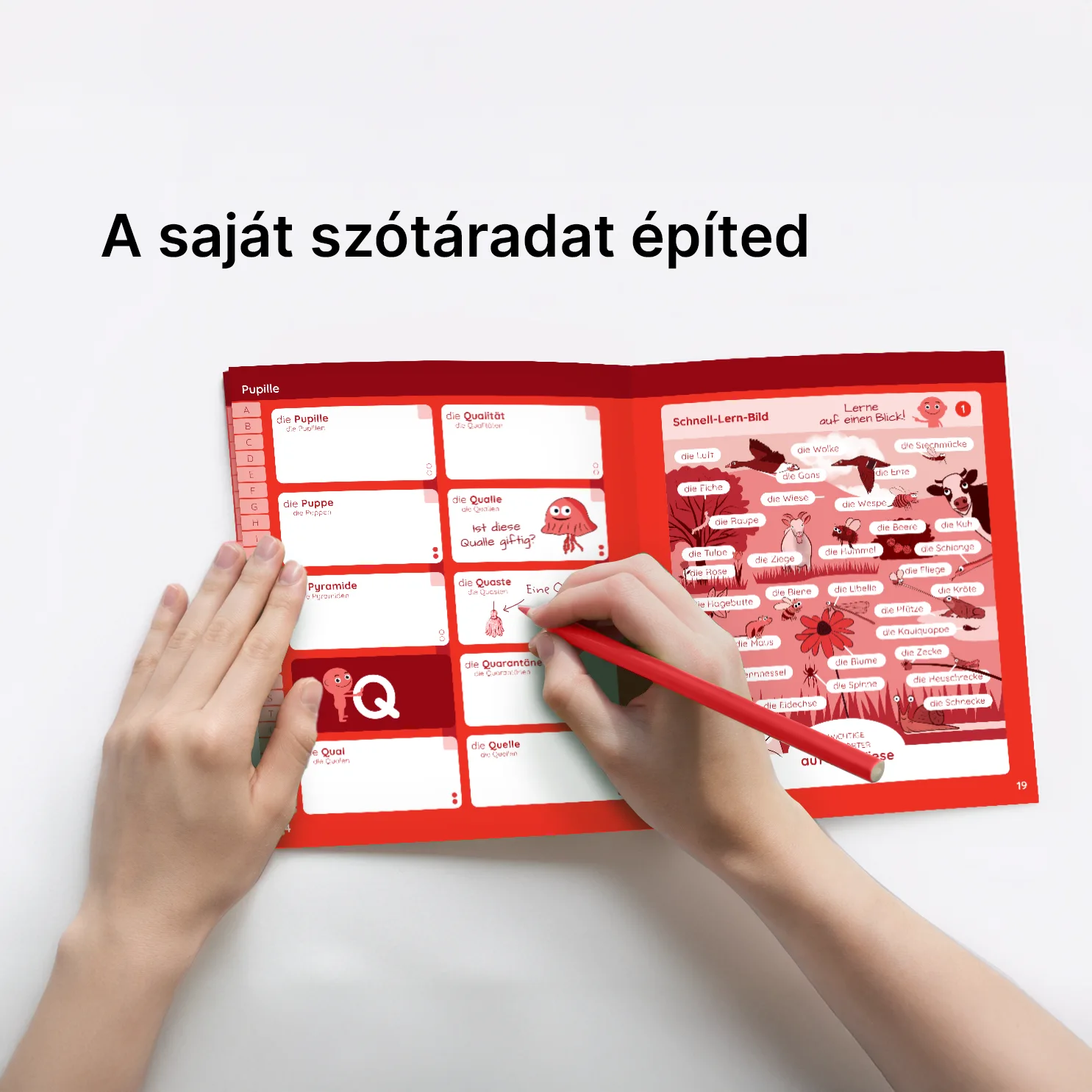 DER–DIE–DAS COLOR® könyvcsomag. Színalapú tanulás, nem magolás - Image 3