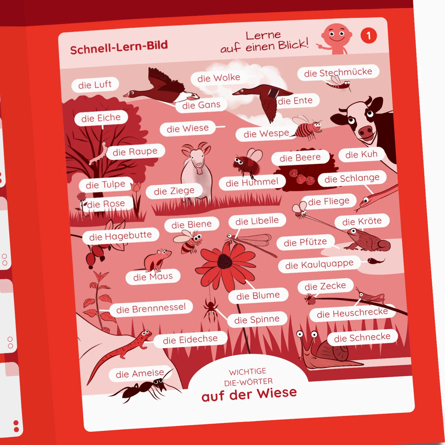 DER–DIE–DAS COLOR® könyvcsomag. Színalapú tanulás, nem magolás - Image 4